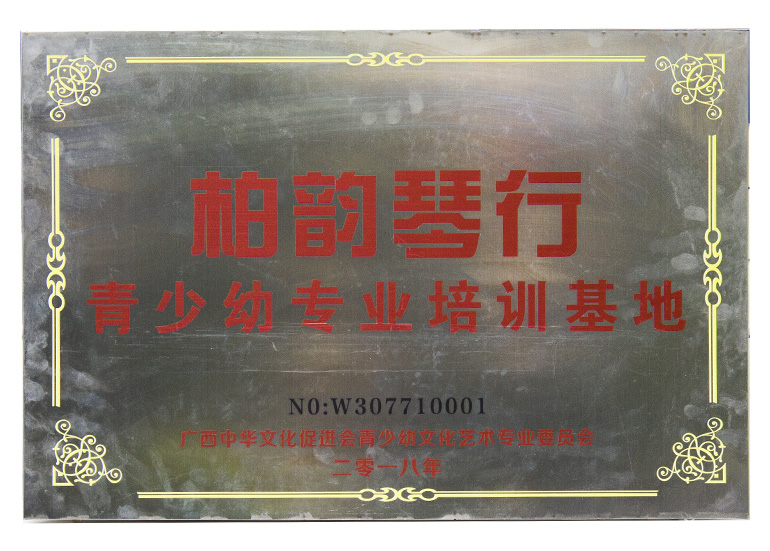 广西中华文化促进会青少幼专业培训基地